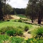 Brookwater CC2